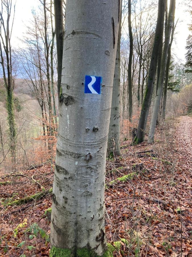 Wohnung Rhein-Wald-Und Weitsicht Rengsdorf Kültér fotó